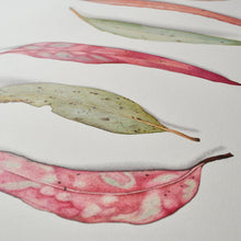 Load image into Gallery viewer, "Mother & Daughters" - 30 x 85cm framed original illustration