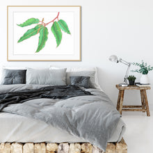 Load image into Gallery viewer, "Albany Gum" - fine art giclee paper print
