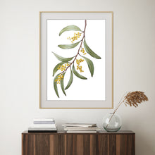 Load image into Gallery viewer, "Wattle Blossom" - fine art giclee paper print