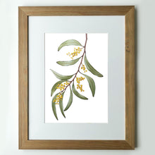 Load image into Gallery viewer, "Wattle Blossom" - A3 framed original illustration