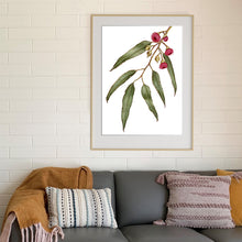Load image into Gallery viewer, "Pink Flowering Gum" - fine art giclee paper print