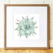Load image into Gallery viewer, “Sage” - 30x30cm framed original illustration