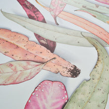 Load image into Gallery viewer, &quot;Becoming&quot; - 65 x 85cm framed original illustration