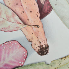 Load image into Gallery viewer, &quot;Becoming&quot; - 65 x 85cm framed original illustration