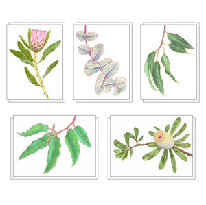 "Wild Flora" - set of 5 note cards