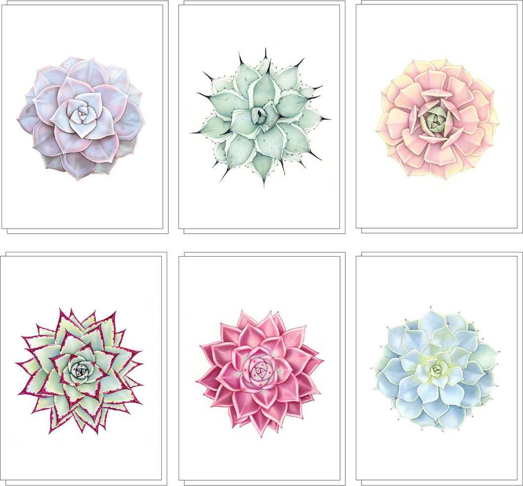 “Sahara” - set of 6 note cards