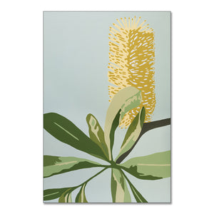 "Coastal Banksia" - fine art giclee paper print