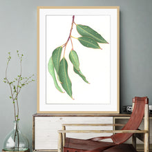 Load image into Gallery viewer, &quot;Gum Leaves&quot; - fine art giclee paper print