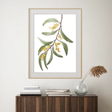 Load image into Gallery viewer, &quot;Wattle Blossom&quot; - fine art giclee paper print