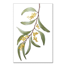 Load image into Gallery viewer, &quot;Wattle Blossom&quot; - A3 framed original illustration