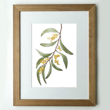 Load image into Gallery viewer, &quot;Wattle Blossom&quot; - A3 framed original illustration