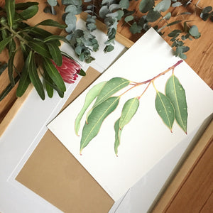 Kimberly Jane Art Gift Voucher