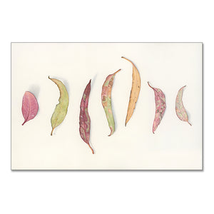 "Ivy" - 30 x 42cm framed original illustration