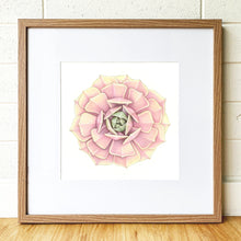 Load image into Gallery viewer, &quot;Lola&quot; - 30x30cm framed original illustration