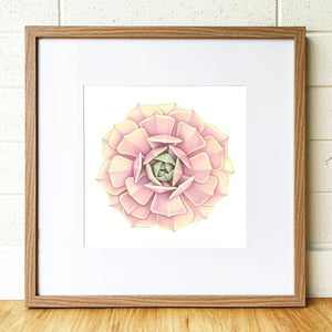 "Lola" - 30x30cm framed original illustration