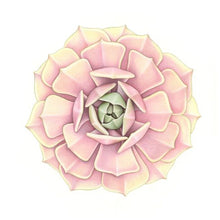 Load image into Gallery viewer, &quot;Lola&quot; - 30x30cm framed original illustration
