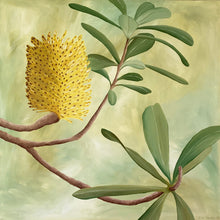 Load image into Gallery viewer, &quot;Morning Glory&quot; - 1005 x 1005mm framed acrylic on canvas painting