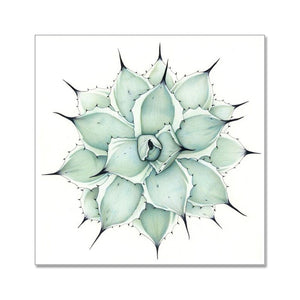 “Sage” - fine art giclee paper print