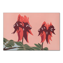 Load image into Gallery viewer, &quot;Sturt Desert Pea&quot; - fine art giclee paper print