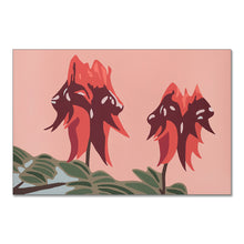 Load image into Gallery viewer, &quot;Sturt Desert Pea&quot; - fine art giclee canvas print
