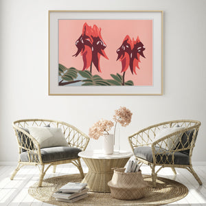 "Sturt Desert Pea" - fine art giclee paper print