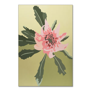 "Waratah" - fine art giclee canvas print